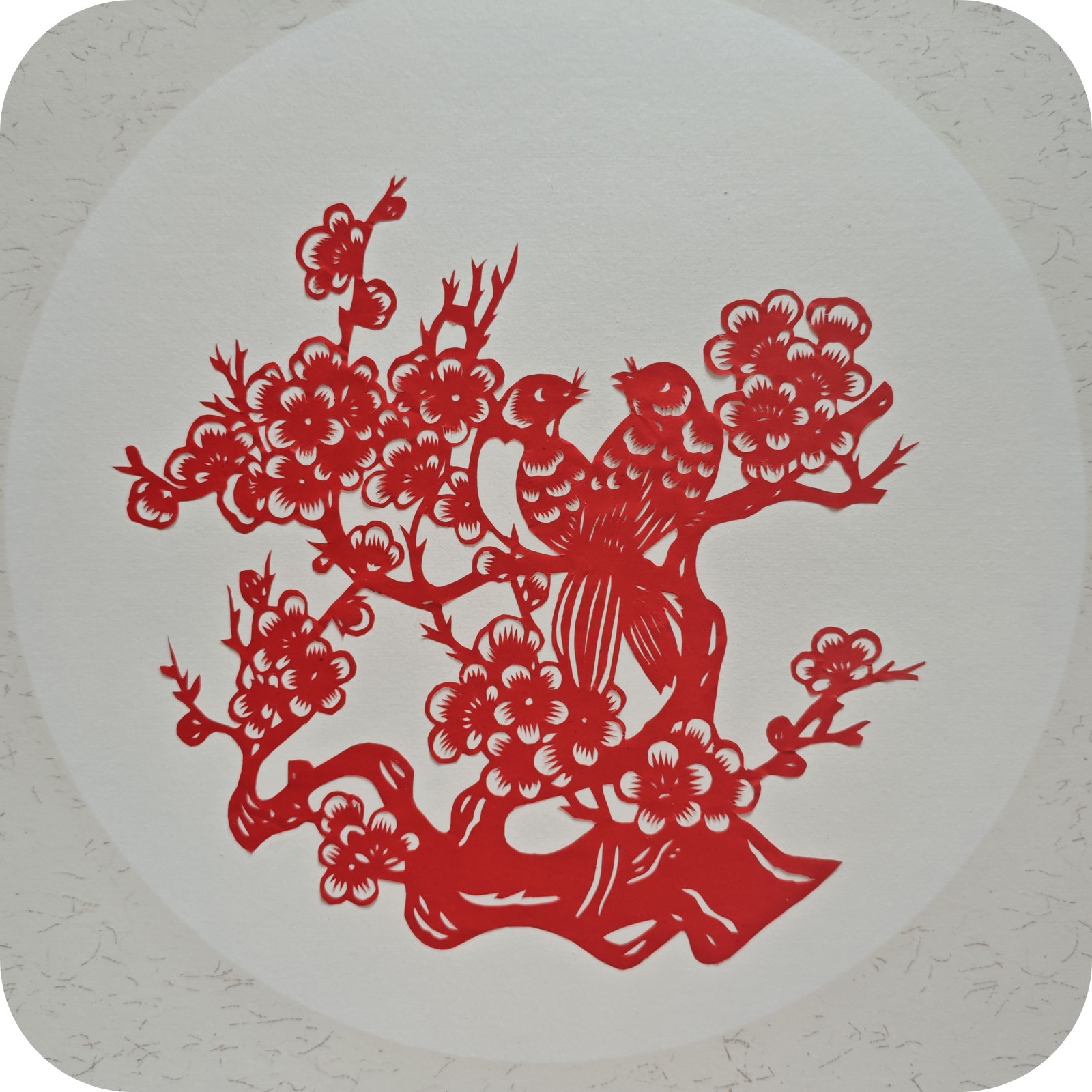 6ee8f130bdc9a50524727283423c271_副本